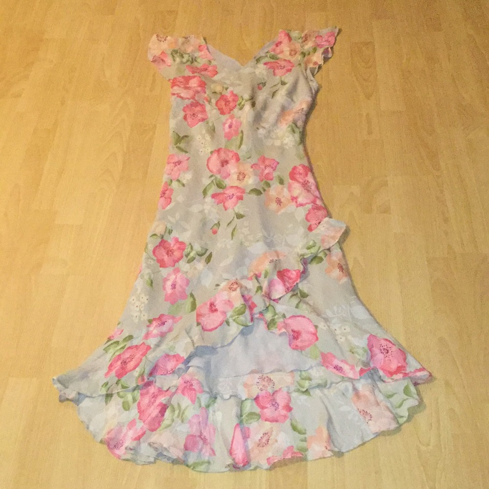 Rare! VtG! Gorgeous! Lane Bryant Floral Dress Women’s 14/16